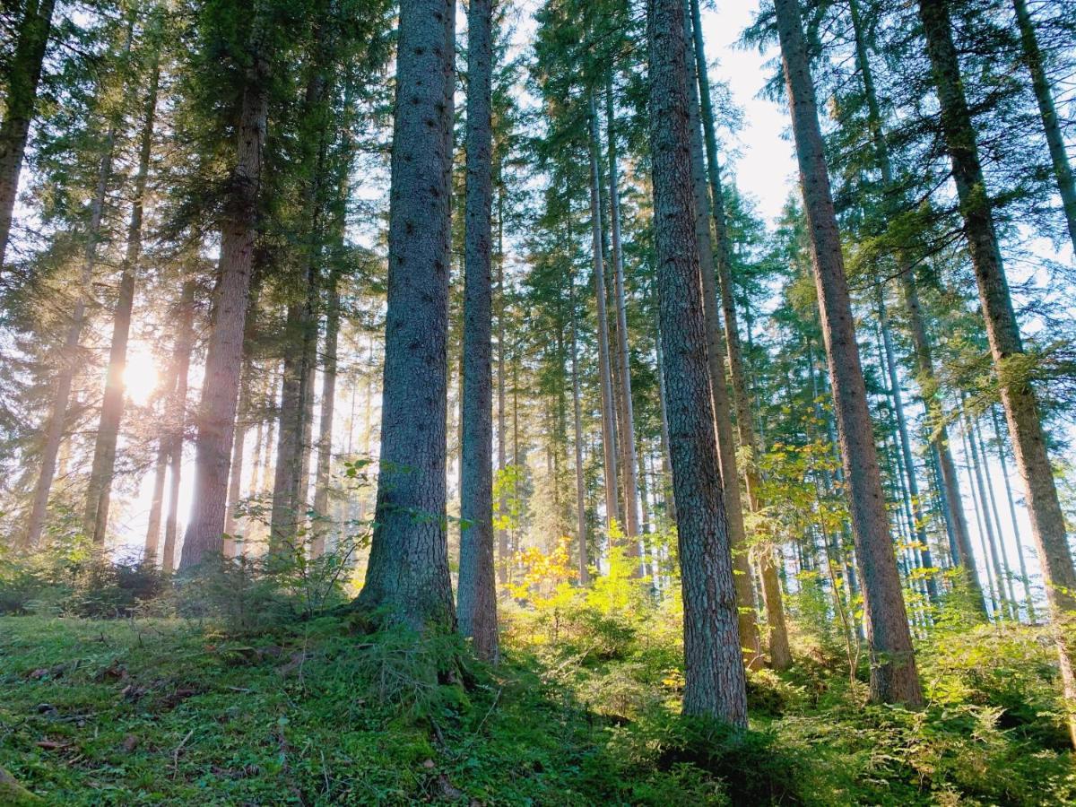Ausseerhaus Im Gruenen Aussere Kainisch Zewnętrze zdjęcie
